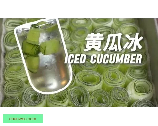 探索“黄瓜视频官网”的无限精彩，解锁你的视觉新体验！